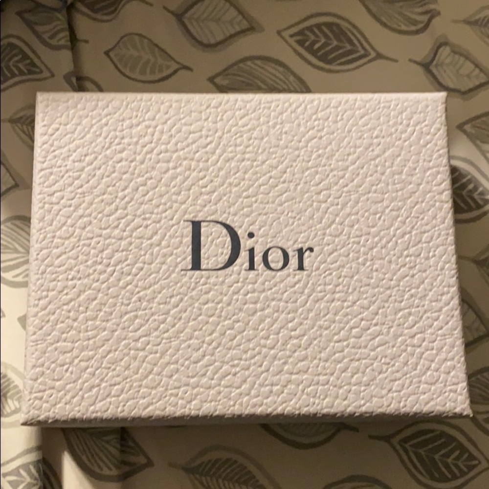 Dior  Lip Stick.  Brand new!